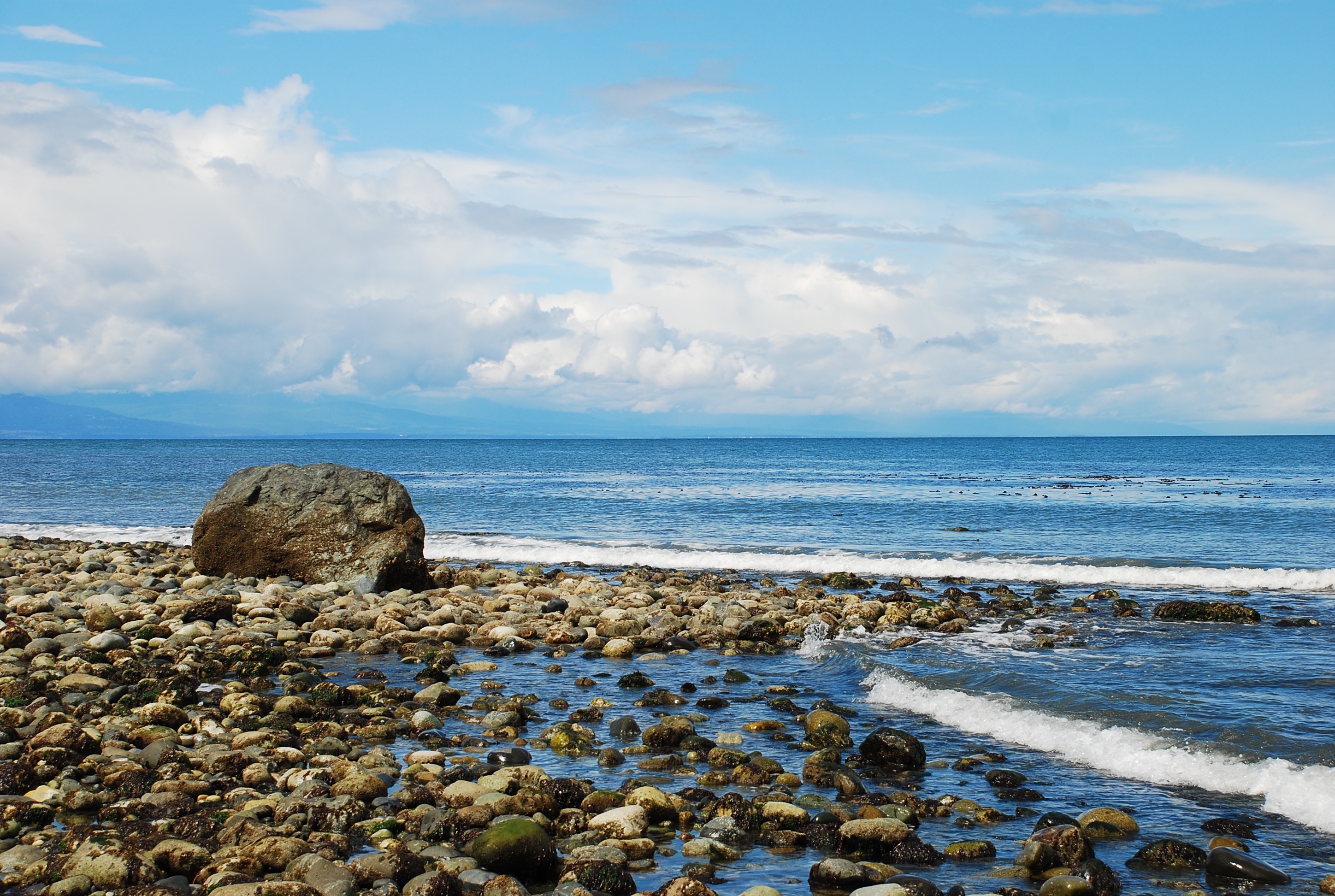 Looking towards the Olympic Peninsula Oak Bay Starfish