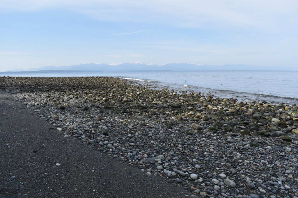 Point Partridge Calm at Point Partridge | Oak Bay Starfish